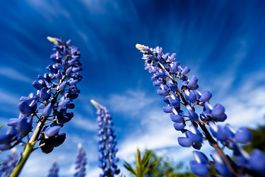 Similar image 7398865