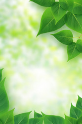 Similar image 7398871