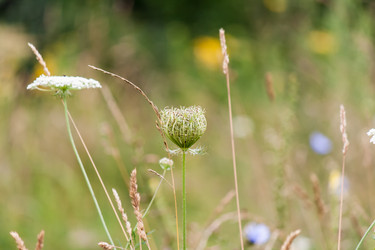 Similar image 7398919