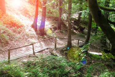 Similar image 7398941