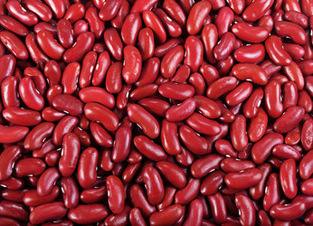 Similar image 7398949