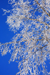 Similar image 7398967