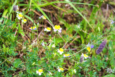 Similar image 7398975