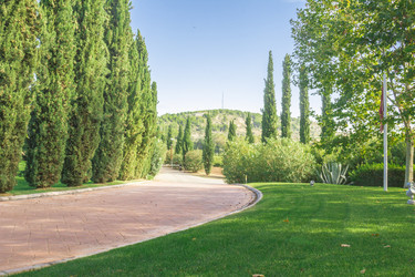 Similar image 7399185