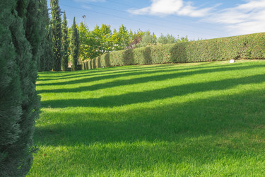 Similar image 7399191