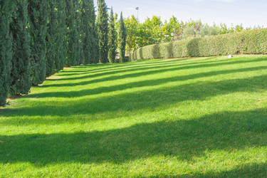 Similar image 7399192