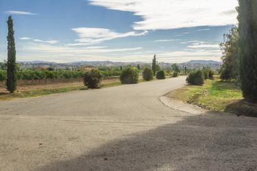 Similar image 7399195