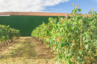 Similar image 7399276