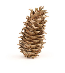 Similar image 7399291