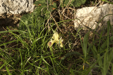 Similar image 7399517