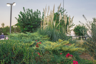 Similar image 7399552