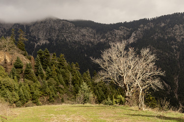 Similar image 7399558