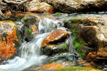 Similar image 7399696