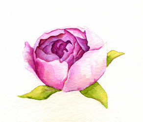 Similar image 7399714