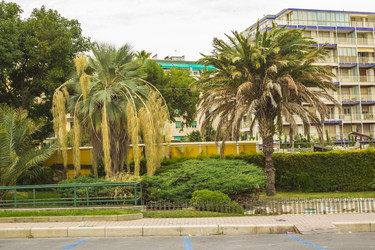 Similar image 7399779