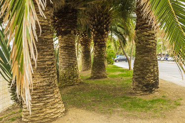 Similar image 7399864