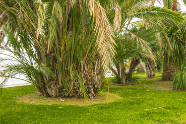 Similar image 7399865