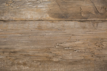 Similar image 7399912