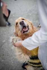 Similar image 7400241