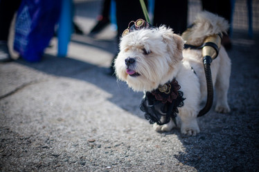 Similar image 7400274