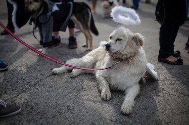 Similar image 7400275