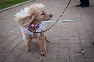 Similar image 7400279