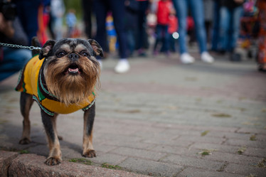 Similar image 7400289