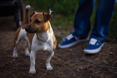 Similar image 7400294