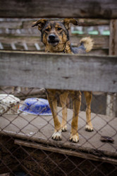 Similar image 7400297