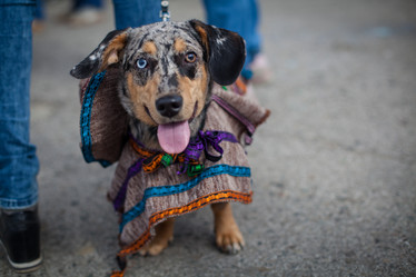 Similar image 7400300