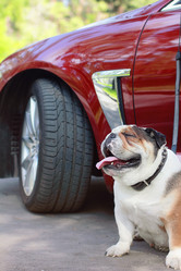 Similar image 7400303