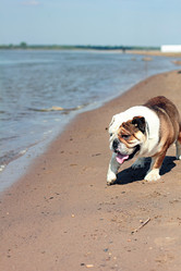 Similar image 7400304