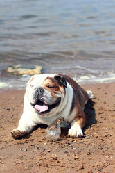 Similar image 7400307