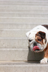 Similar image 7400308