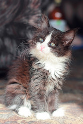 Similar image 7400309