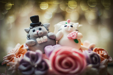 Similar image 7400346