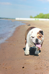 Similar image 7400348