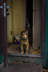 Similar image 7400353