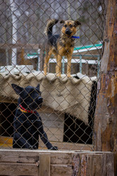 Similar image 7400355