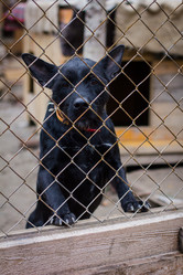 Similar image 7400356