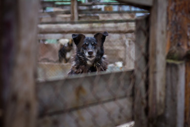 Similar image 7400357