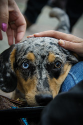 Similar image 7400363