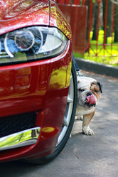 Similar image 7400364