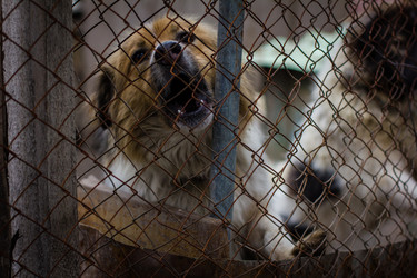 Similar image 7400369