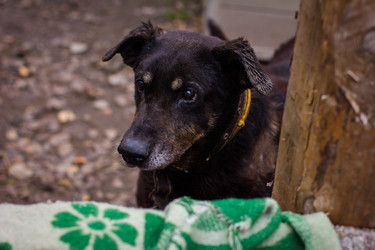 Similar image 7400370