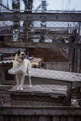 Similar image 7400372