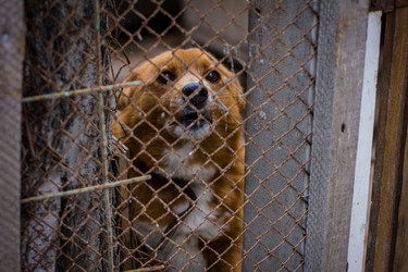 Similar image 7400373