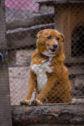 Similar image 7400374