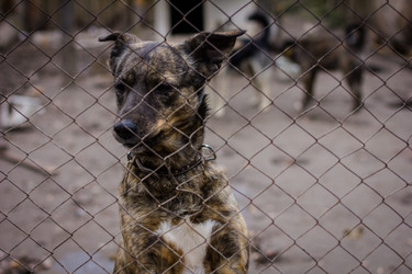 Similar image 7400377