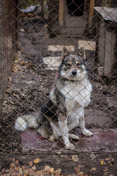 Similar image 7400383